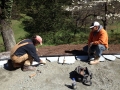 soapstone edging for patio